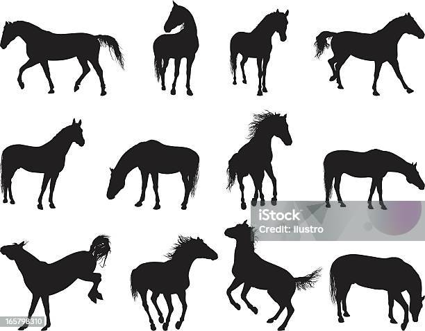 Лошадь — стоковая векторная графика и другие изображения на тему Лошадь - Лошадь, Силуэт, Изолированный предмет