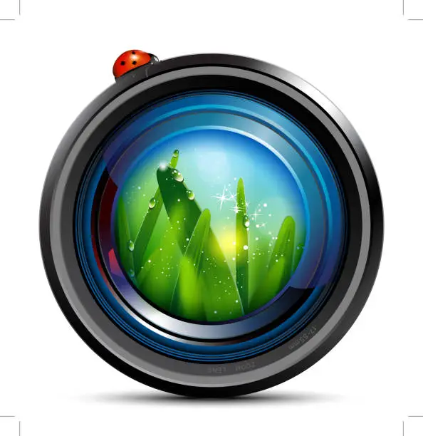 Vector illustration of Camera Lens and ladybag