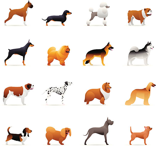 farbe icons-hund - dog malamute sled dog bulldog stock-grafiken, -clipart, -cartoons und -symbole