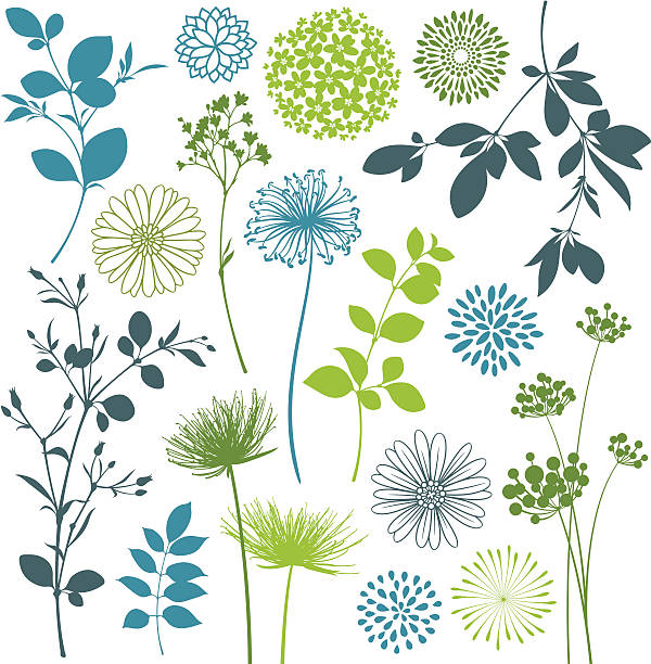 ilustraciones, imágenes clip art, dibujos animados e iconos de stock de y flores elementos de diseño de hojas - flower single flower leaf tree