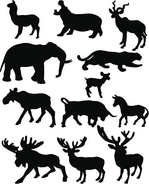 Vector illustration of animals