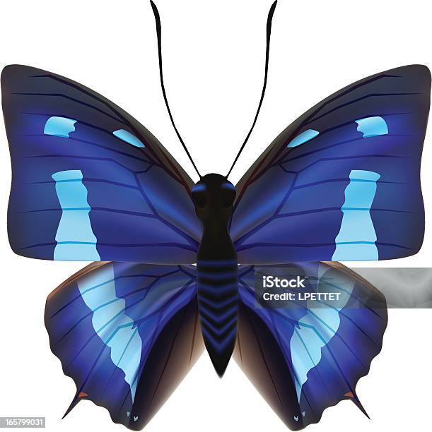 Ilustración de Ilustración Vectorial De Mariposa y más Vectores Libres de Derechos de Ala de animal - Ala de animal, Animal, Azul