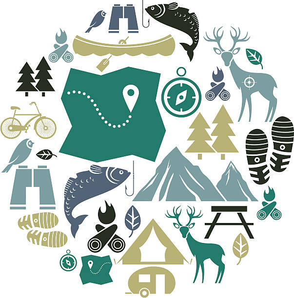 ilustrações de stock, clip art, desenhos animados e ícones de conjunto de ícone de atividade outdoor - orienteering