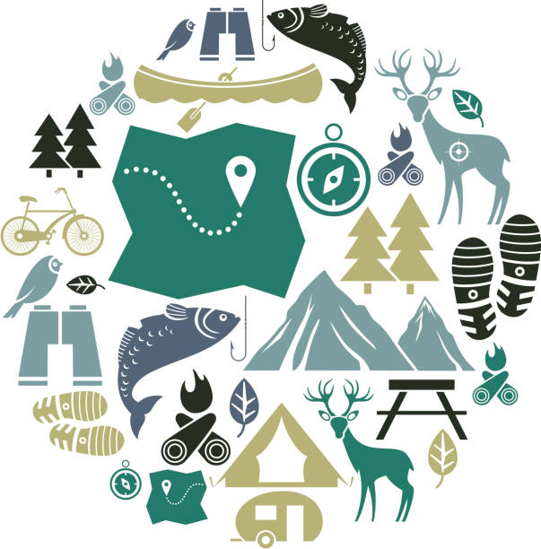 Outdoor Activity Icon Set A set of outdoor activity themed icons. See below for a repeat pattern of this file. cartoon fishing hook stock illustrations