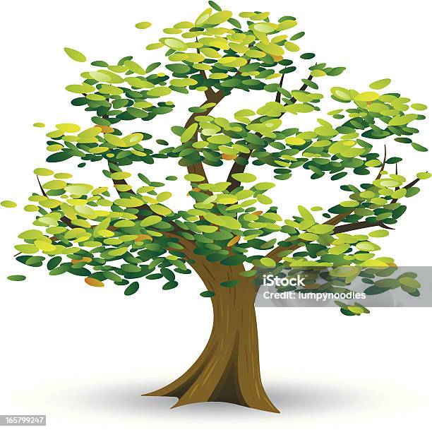 Arbre Emblématique Vecteurs libres de droits et plus d'images vectorielles de Arbre - Arbre, Jeune plant, Arbre à feuilles caduques