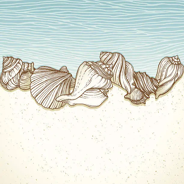 Vector illustration of Seashells On a Beach Border