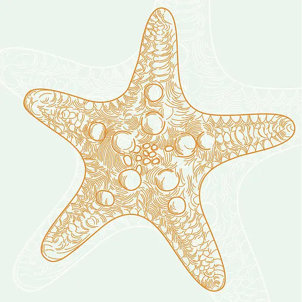 Vector illustration of Starfish - Front