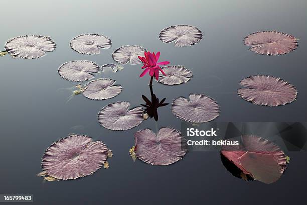 Photo libre de droit de Nénuphar Et Blocsnotes banque d'images et plus d'images libres de droit de Lotus - Nénuphar - Lotus - Nénuphar, Motif, Rose