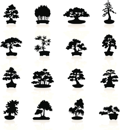 Illustration representing different bonsai trees.