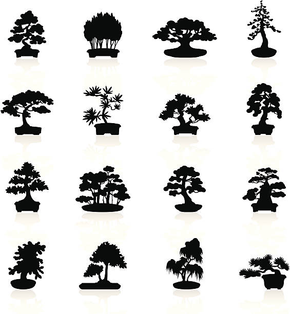 Black Symbols - Bonsai Trees Illustration representing different bonsai trees. bonsai tree stock illustrations