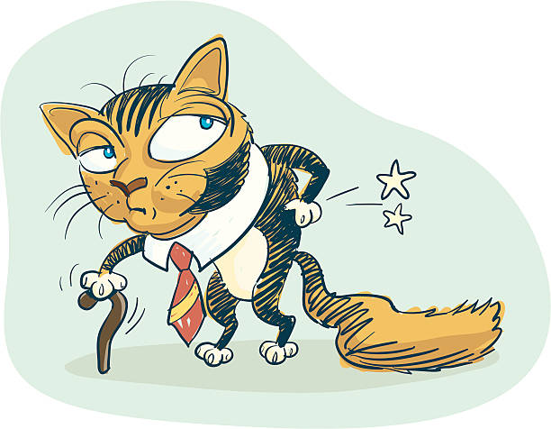 Old And Wary Cat Stock Illustration - Download Image Now - Cartoon, Senior  Adult, Domestic Cat - iStock