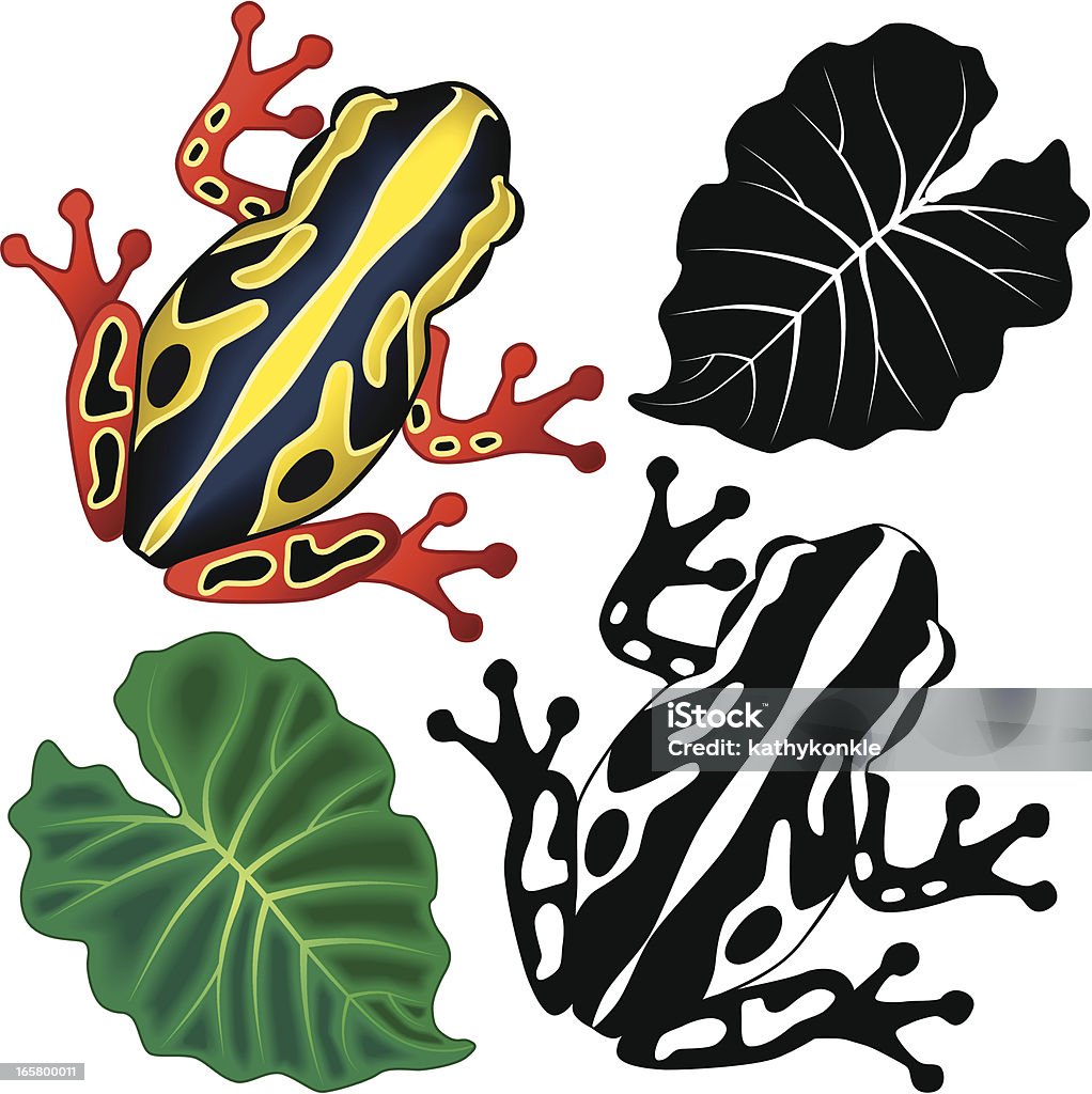 tropical tree frog A vector illustration of a yellow, red and black spotted tree frog found in tropical Africa. Frog stock vector