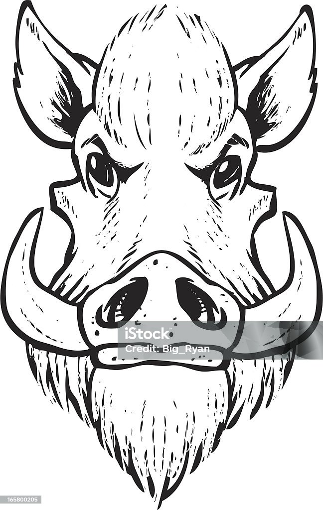 Discreti boar testa - arte vettoriale royalty-free di Cinghiale - Animale