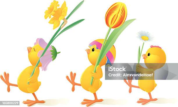 Ilustración de Tres Senorgullece En Marcha Bebé Pollos Con Flores y más Vectores Libres de Derechos de Pollito