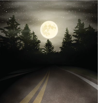 At night the road with the moon over the forest. Vector Illustration. EPS10 transparent gradient mesh fog and clouds.