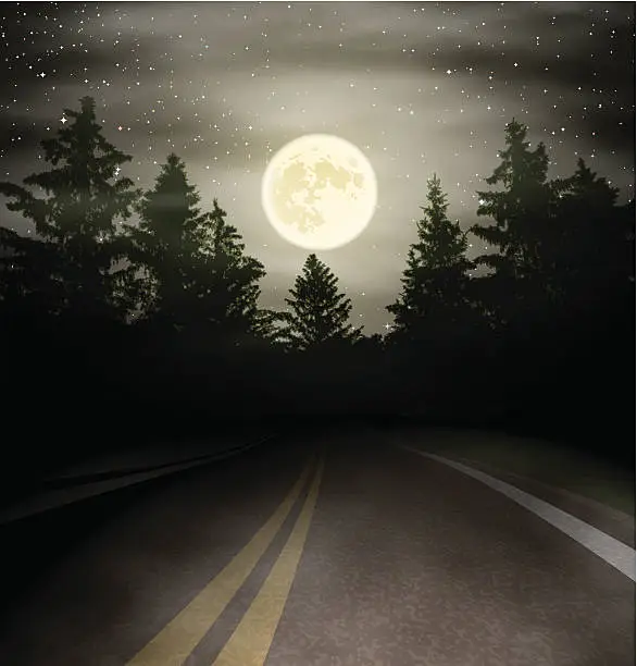 Vector illustration of Night Road