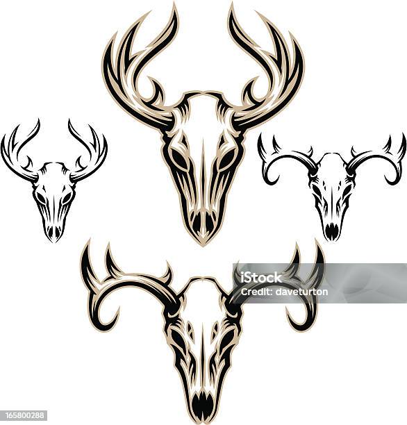 Ilustración de Deer Skulls y más Vectores Libres de Derechos de Ciervo - Ciervo, Con cuernos, Vector