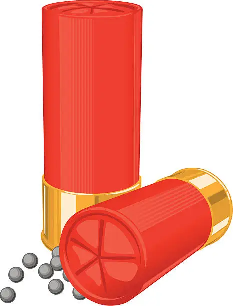 Vector illustration of shotgun shells