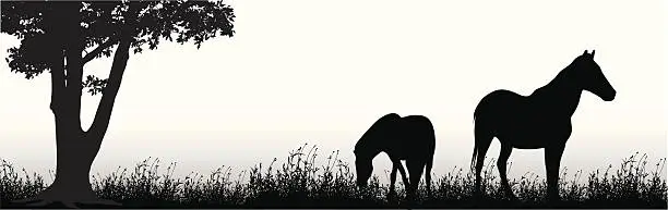 Vector illustration of Ponies Vector Silhouette