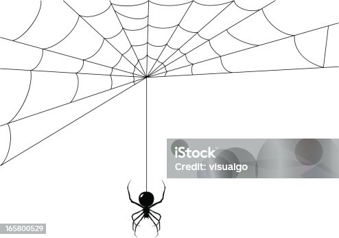 istock Spider while it's making its web 165800529