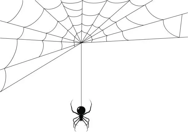 Vector illustration of Spider while it's making its web