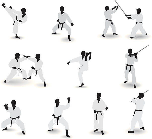 잘 알려진 무술 - karate kicking tae kwon do martial stock illustrations