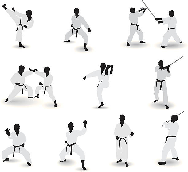Well-known martial arts Several well-known martial arts. karate stock illustrations