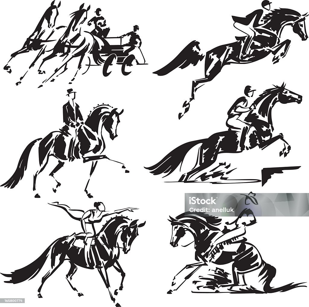 Equestrian olympics 3 "Simplified silhouettes of olympical and competitive equestrian sports: combined driving, show jumping, dressage, eventing (military), equestrian vaulting and western riding.  For emblems, invitations, event flyer etc." Horse stock vector