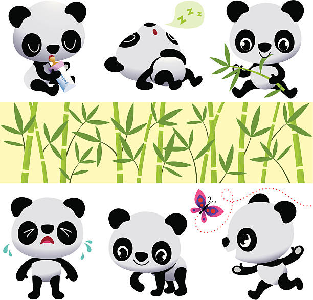 150+ Sitting Chinese Panda Bear Animal Cartoon Character Vector  Illustration Illustrations, Royalty-Free Vector Graphics & Clip Art - iStock