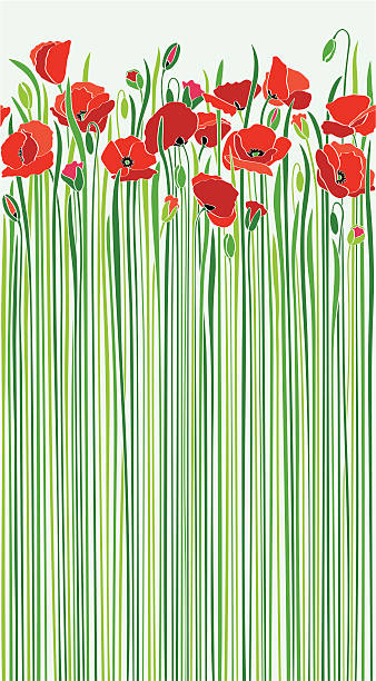 field of red poppies by the road in sunny spring An original artwork vector illustration of a field of scarlet poppies in early spring. Light-blue sky and springtime flowers with tall green stems. Vertical portrait composition on a light-blue background, that may serve as a postcard, flyer, poster, wallpaper, seamless pattern that brings freshness, Remembrance, Day, commemoration, peace. red poppy stock illustrations