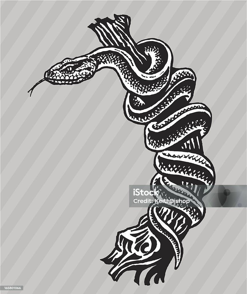 Serpent Python sur arbre Branche - clipart vectoriel de Serpent libre de droits