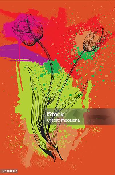 Tulip Stock Illustration - Download Image Now - Black And White, Black Color, Color Image