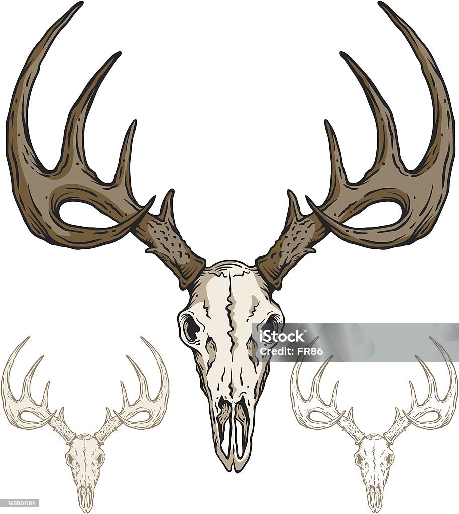 Deer cráneo - arte vectorial de Ciervo libre de derechos