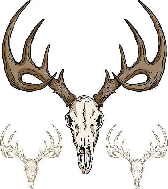 Vector illustration of Deer Skull