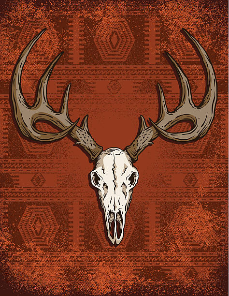 Deer Skull Western vector art illustration