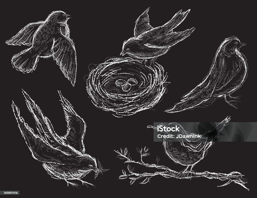 Rys rysunek różnych zestaw ptaków - Grafika wektorowa royalty-free (Gałąź - część rośliny)