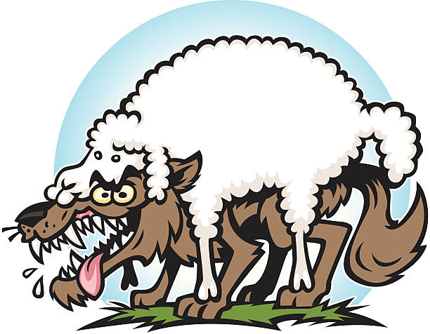 wold in sheeps clothing cartoon of a hungry wolf in sheeps clothing wolf in sheeps clothing stock illustrations