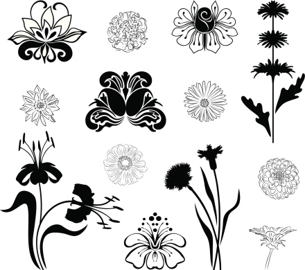 Floral collection, black and white graphic. 
