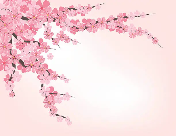 Vector illustration of Cherry Blossom Branch