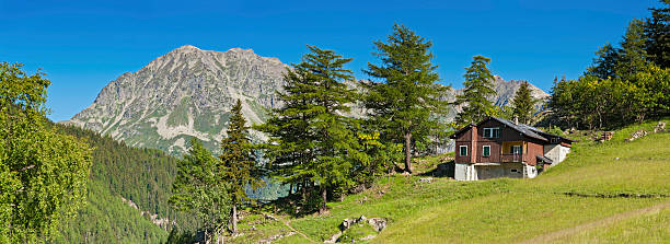 alpine chalet de la pintoresca montaña de verano meadow panorama - mountain cabin european alps switzerland fotografías e imágenes de stock