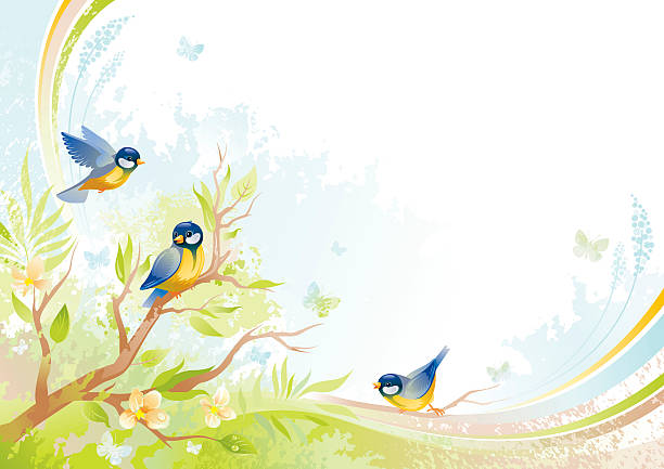 с бабочками и птицами на фоне с copyspace — tits - flower bed spring flower tree stock illustrations
