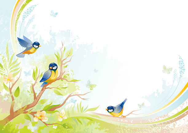 Butterfly and birds background with copyspace: tits Butterfly and birds background with beautiful swirls, tree branch with fresh leafs and copyspace. butterfly and flowers cartoons stock illustrations