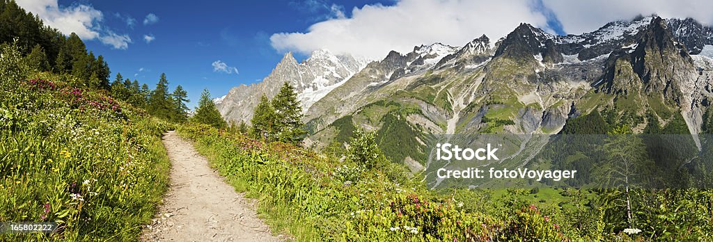 Sielanka mountain trail Dziki kwiat Łąka alpejskich szczytów panorama - Zbiór zdjęć royalty-free (Ścieżka)