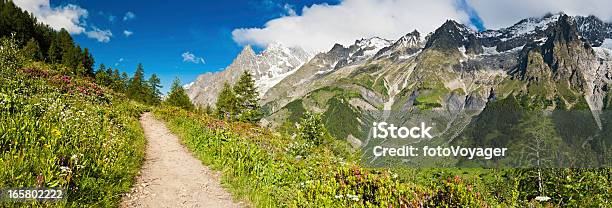 Sielanka Mountain Trail Dziki Kwiat Łąka Alpejskich Szczytów Panorama - zdjęcia stockowe i więcej obrazów Ścieżka