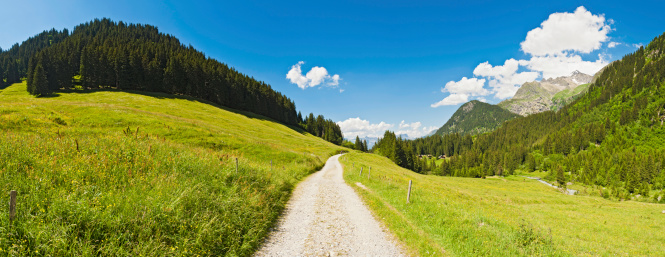 Earth track through vibrant green pasture overlooked by mountain peaks and pine forests under panoramic blue summer skies. ProPhoto RGB profile for maximum color fidelity and gamut.