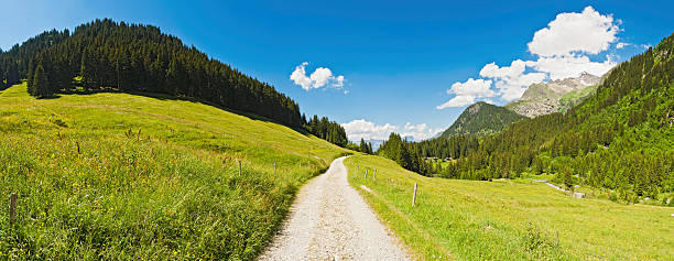 Idyllic country road green summer pasture mountain forests panorama Earth track through vibrant green pasture overlooked by mountain peaks and pine forests under panoramic blue summer skies. ProPhoto RGB profile for maximum color fidelity and gamut. single lane road footpath dirt road panoramic stock pictures, royalty-free photos & images