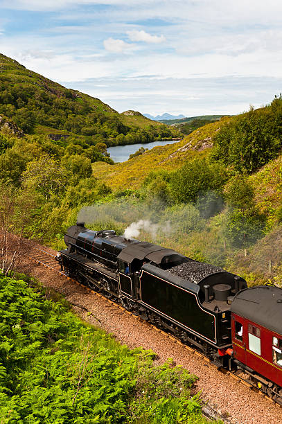 istock Steam train rushing through idyllic Highland mountain glen 165802262