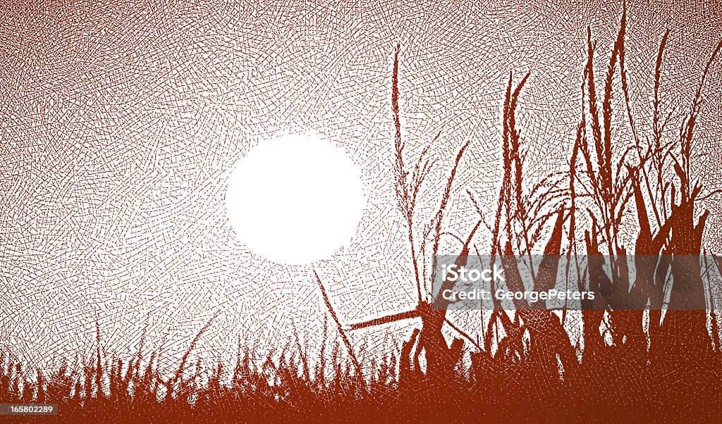 Пшеничное поле и закат - Векторная графика Сельскохо�зяйственная культура роялти-фри