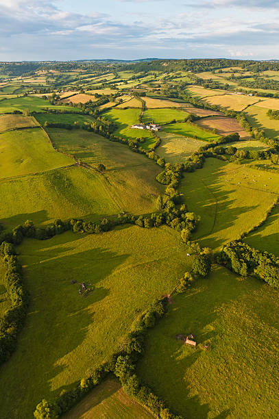istock Vibrant patchwork quilt landscape green summer farm fields 165802577