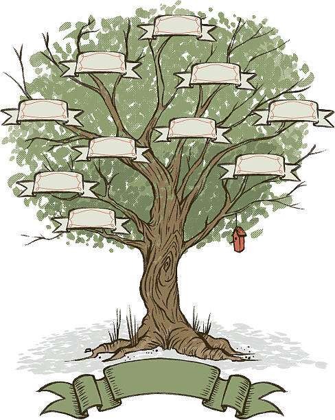 Your Own Family Tree this is a hand drawn tree illustration, the banners are on a separate layer, the bottom banner is also on its own separated layer. colors are easy to change and manipulate. family tree stock illustrations